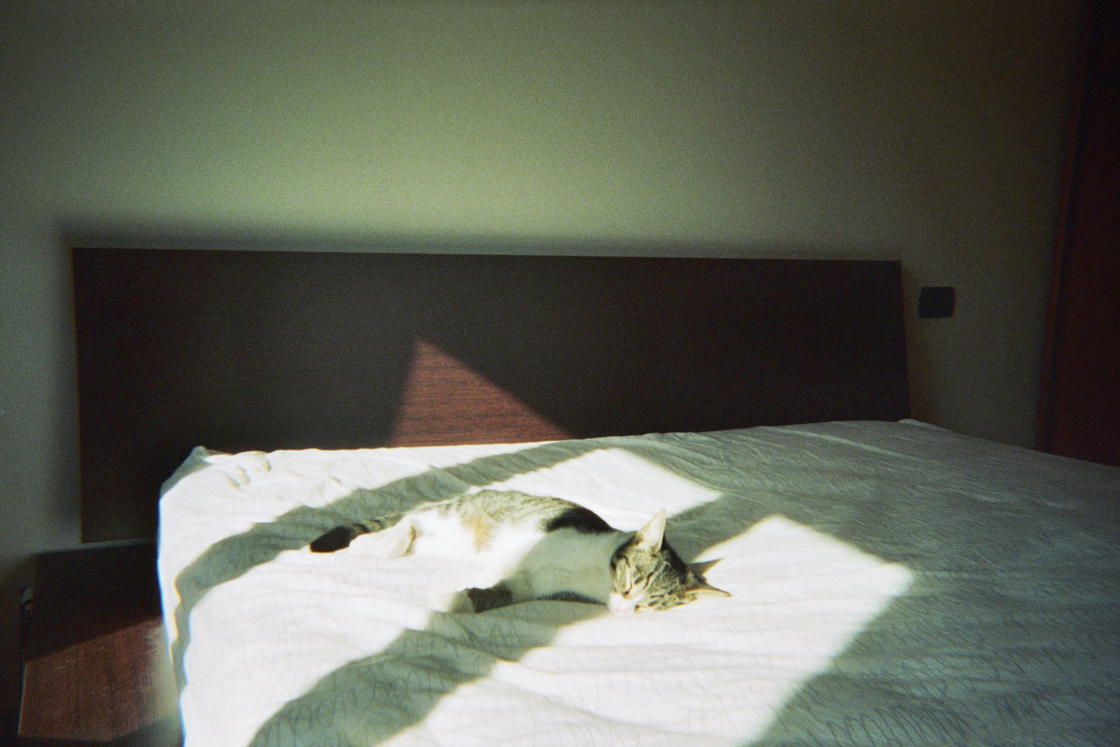 Emma aime dormir - en cours de dev
